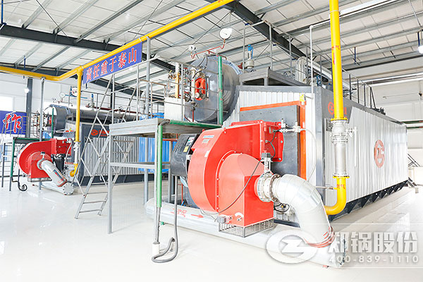 9c500e8b27bd97bd83fd3071845075b4 ÐÂÏçÒ©³§2*20¶ÖSZSÐÍÈ¼Æø¹øÂ¯ÏîÄ¿