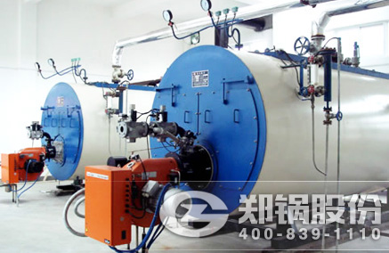 WNS��ȼ��ȼ����¯ - CA88