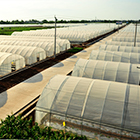 ca88�ֻ��ͻ���(��׿/ƻ��)CA88��Ա��¼���