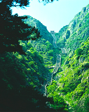 ca88�ֻ��ͻ���(��׿/ƻ��)CA88��Ա��¼���