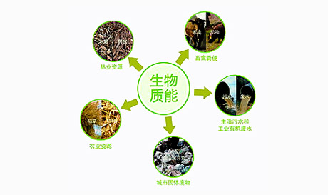 �����ʷ����Ͷ������