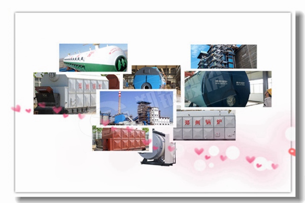 33 8吨锅炉多燃料锅炉价钱