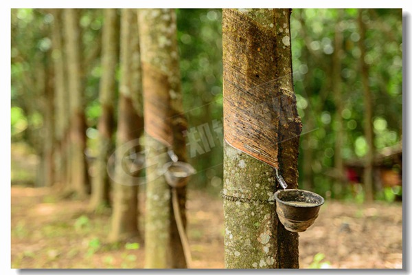 341 ·ÄÖ¯¹¤ÒµÓÃ×ÔÈ»Æø°üװʽ¹øÂ¯