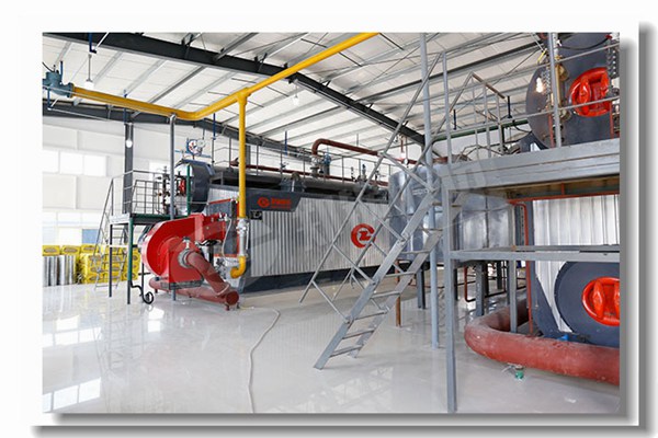 391 50t h×ÔÈ»Æø¹¤Òµ¹øÂ¯Åä¼þ