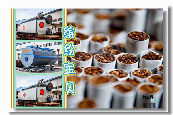 654 10吨小时稻壳蒸汽锅炉