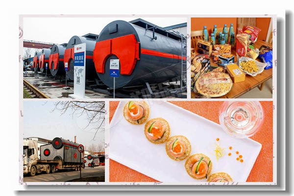 760 热销高品质热水锅炉