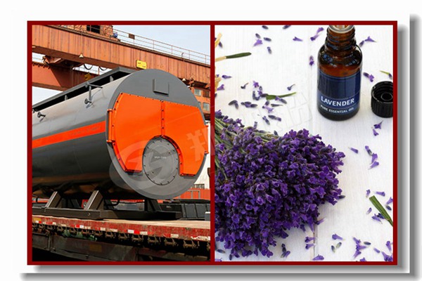 764 ÕÛ¿ÛÈÈË®¹øÂ¯É¢ÈÈÆ÷